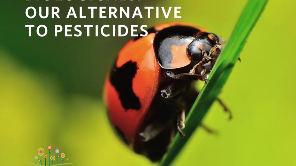 Biologicals_ Our Alternative to Pesticides_blog