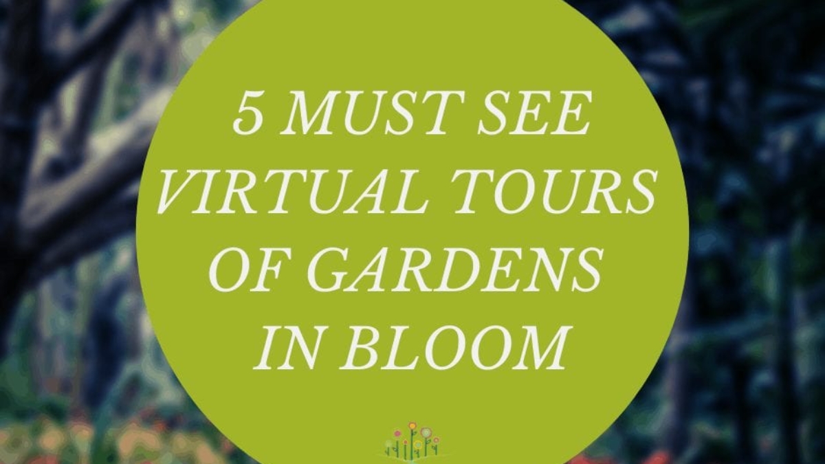5 Must See Virtual Tours of Gardens in Bloom