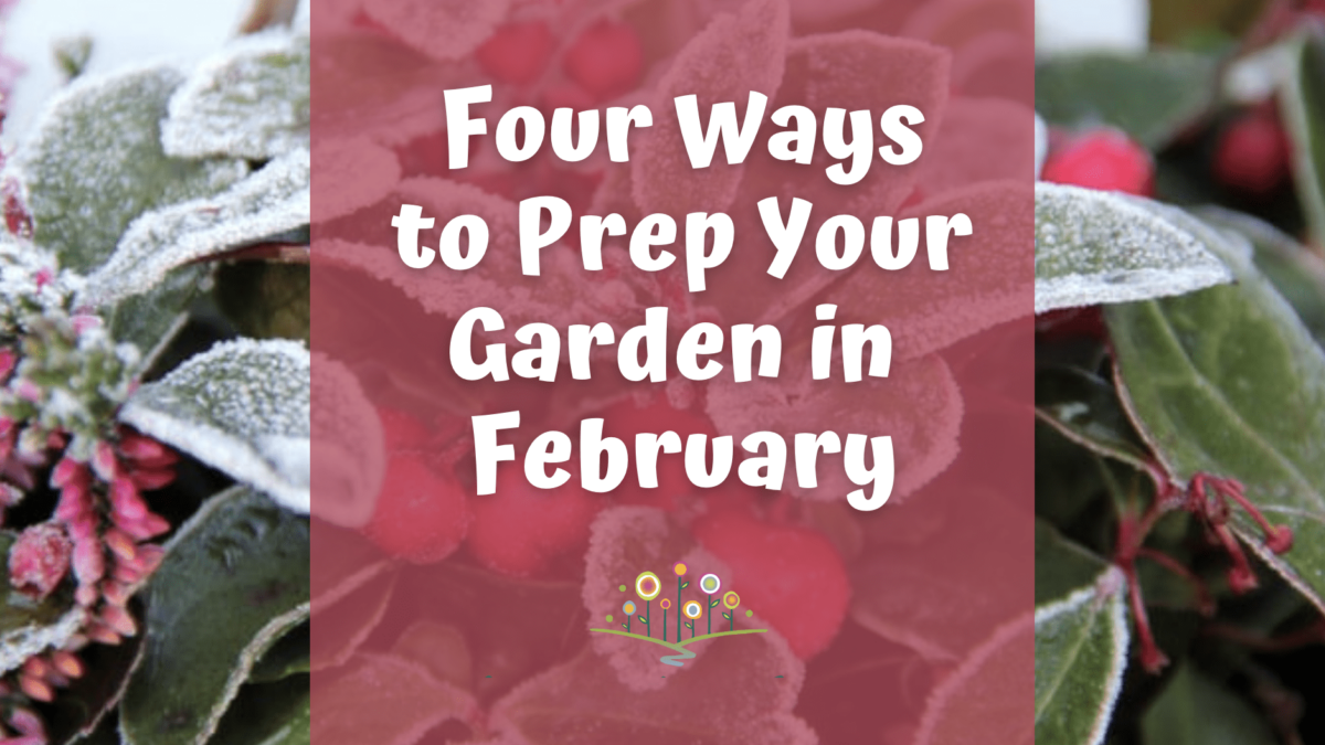 February Garden Prep
