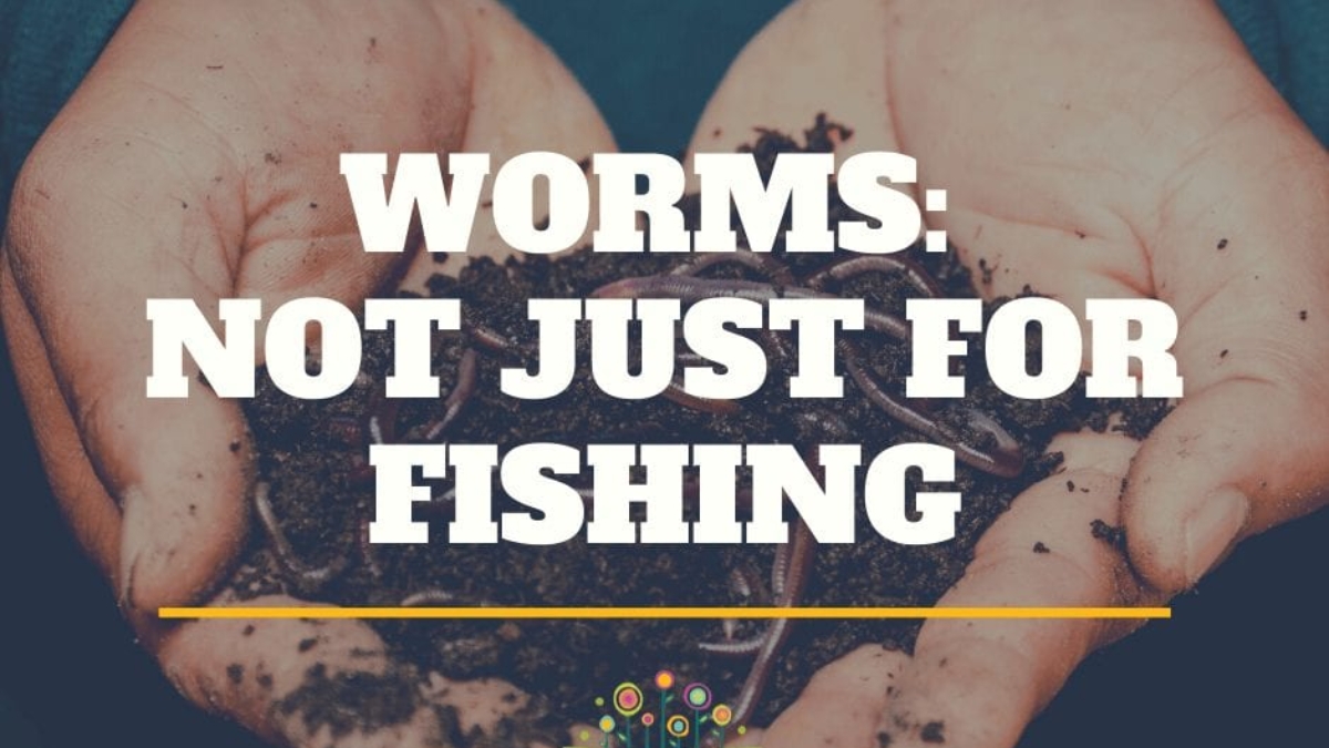 worms and dirt in hands