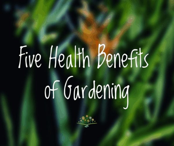 Five Health Benefits Of Gardening | Chippewa Valley Growers