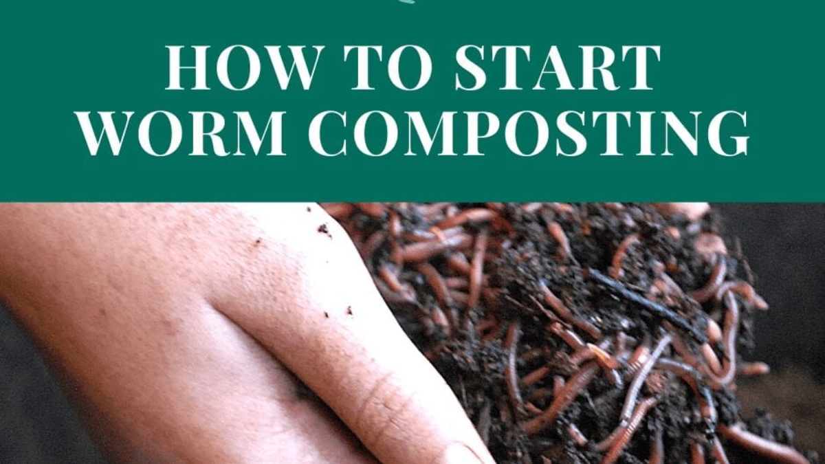 Start Worm Composting_FB
