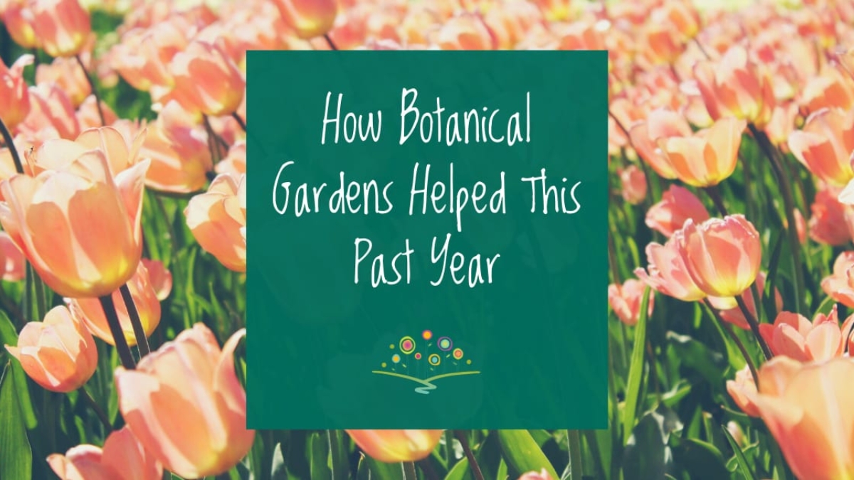 How Botanical Gardens Helped This Past Year