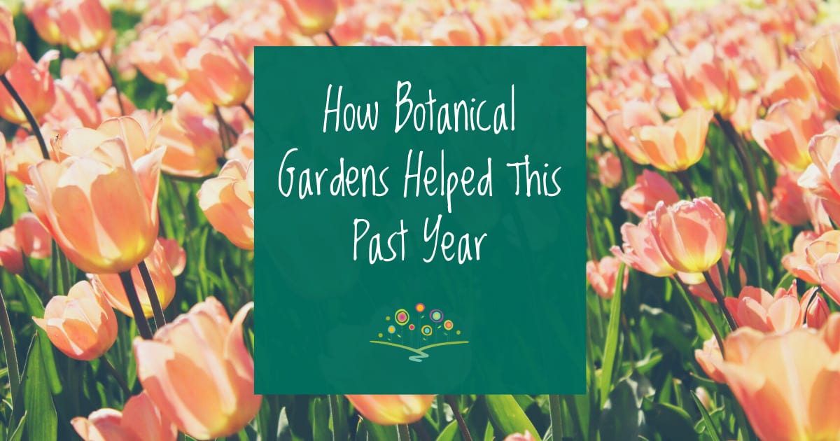 How Botanical Gardens Helped This Past Year