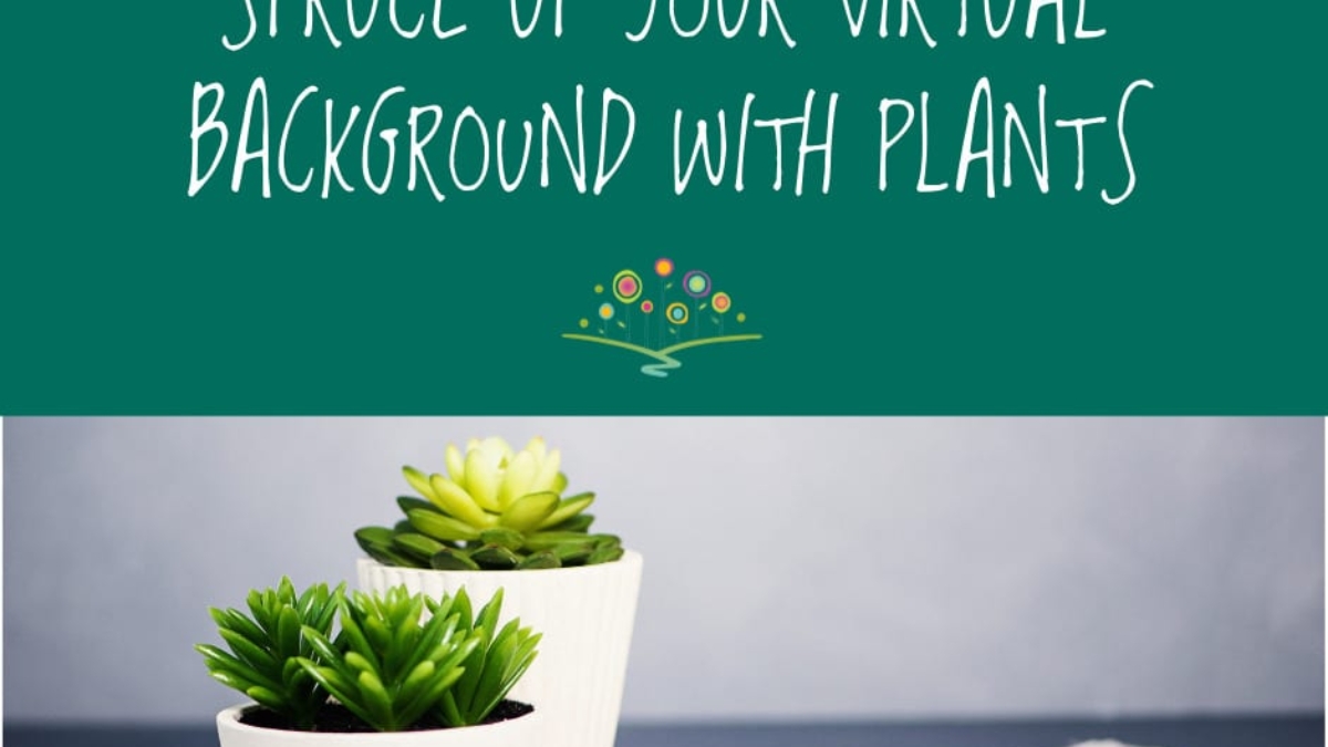 Spruce Up Your Virtual Background with Plants_fb