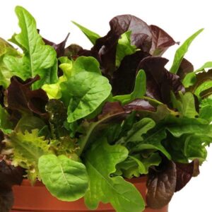 simply-salad-7-pot
