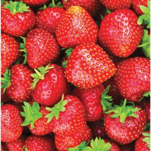 strawberry-hanging-basket-11