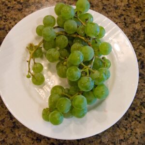 grape-edelweiss-2-true